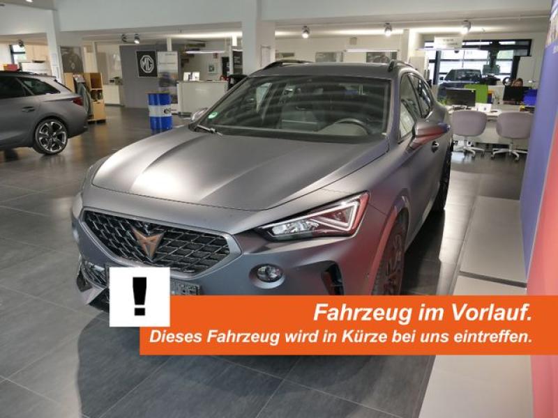 CUPRA  Formentor 2.0 DSG 4x4 VZ AHK*MATT *BREMBO *SCHAL, Magnetic Tech Mattgrau