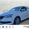 SKODA  Fabia III 1.0 COOL & SOUND *Smart-Link*SITZHZG *, Candy-Weiss