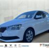 SKODA  Fabia III 1.0 COOL & SOUND *SITZHZG *CLIMA *DAB, Candy-Weiss