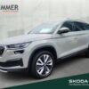 SKODA  Kodiaq 2.0 TDI DSG 4x4 STYLE *MATRIX *VIRTUAL *T, Steel-Grau