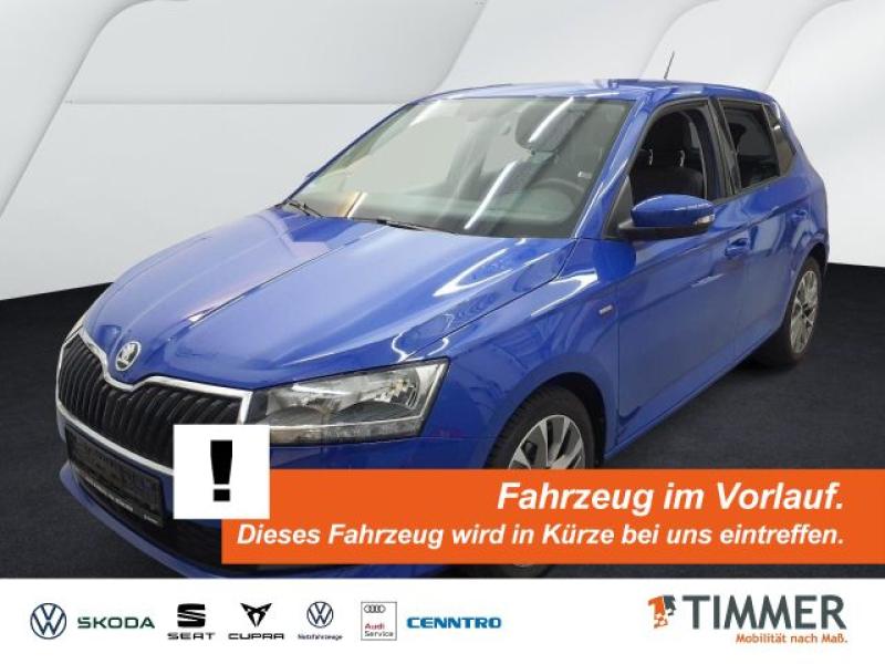 SKODA  Fabia 1.0 CLEVER *SHZ *TEMPO *ALU *APP *PDC *, Energy Blau