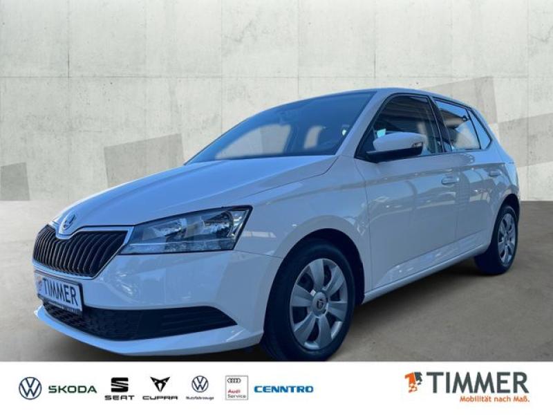 SKODA  Fabia III 1.0 COOL & SOUND *SITZHZG *CLIMA *DAB, Candy-Weiss