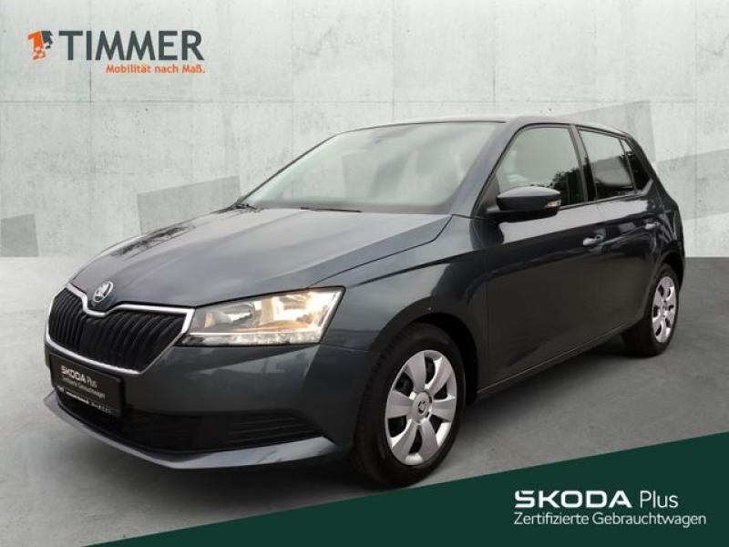 SKODA  Fabia III 1.0 ACTIVE *SITZHZG *TELEFON *KLIMA *, Quarz-Grau Metallic