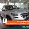 SKODA  Kodiaq 2.0 TDI DSG 4x4 L&K *7 SITZER *AHK *CANTO, Brillant-Silber Metallic