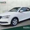 SKODA  Fabia III 1.0 COOL PLUS *KLIMA *DAB *, Candy-Weiß