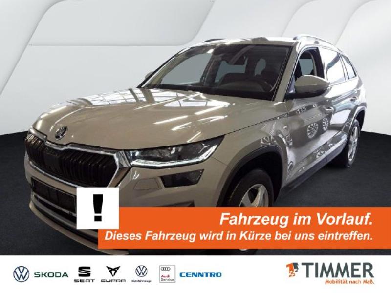 SKODA  Kodiaq 2.0 TDI DSG 4x4 CLEVER *AHK *360° *MATRIX, Steel-Grau