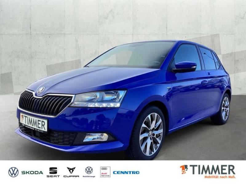 SKODA  Fabia 1.0 CLEVER *SHZ *TEMPO *ALU *APP *PDC *, Energy Blau