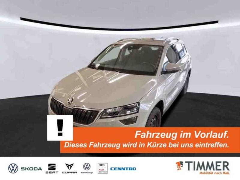 SKODA  Karoq 1.5 TSI DSG CLEVER *LED *CANTON *RKAM *NAV, Steel-Grau