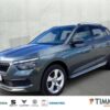 SKODA  Kamiq Style 1.5 TSI *DSG*ACC*LED*SHZ*RFK*, grau