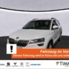 SKODA  Karoq 2.0 TDI DSG 4x4 *LED *RKAM *NAVI *SHZ *GRA, Moon-Weiss Metallic