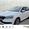 SKODA  Fabia 1.0 TSI DSG *AHK *TEMPO *SHZ *PDC *KLIMA *, Candy Weiss