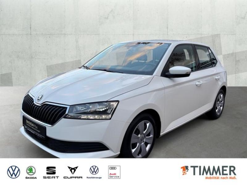 SKODA  Fabia 1.0 TSI DSG *AHK *TEMPO *SHZ *PDC *KLIMA *, Candy Weiss