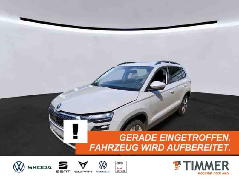 SKODA  Karoq 2.0 TDI DSG TOUR +AHK +LED +RKAM +TEMPO +V, Steel-Grau