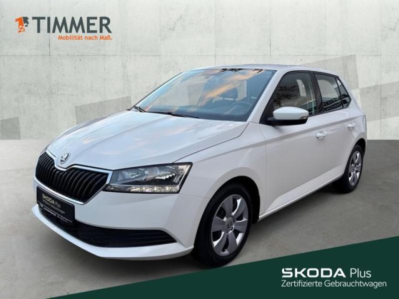SKODA  Fabia 1.0 TSI DSG *AHK *TEMPO *SHZ *PDC *KLIMA *, Candy Weiss