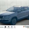 SKODA  Karoq 1.5 TSI DSG CLEVER *AHK *LED *RKAM *TRAVEL, Steel-Grau
