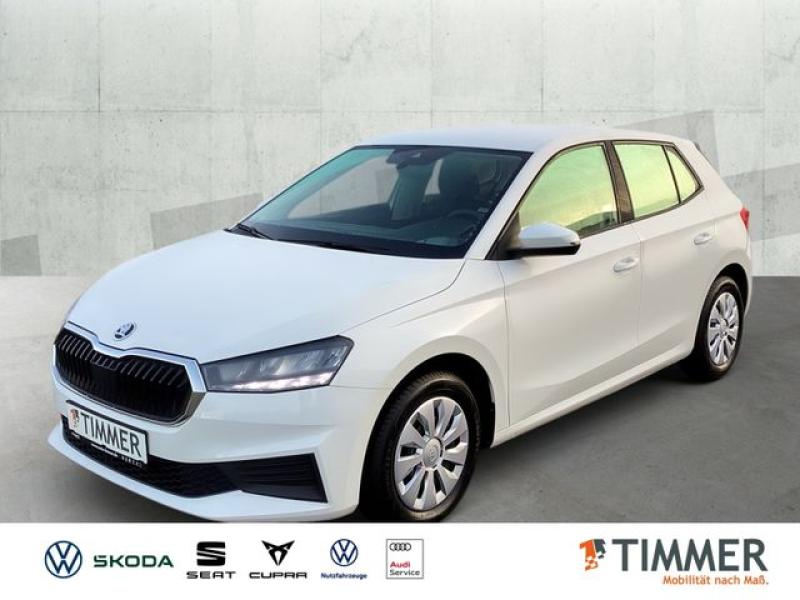 SKODA  Fabia 1.0 ACTIVE *LED *DAB *KLIMA *PDC *BLUETOOT, Candy Weiss