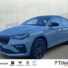 SKODA  Scala TOUR 1.0 TSI DSG*ACC*PDC*SHZ*TEMPO*LED*R-K, Stahl Grau