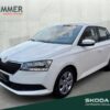 SKODA  Fabia 1.0 TSI DSG *AHK *TEMPO *SHZ *PDC *KLIMA *, Candy Weiss