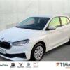 SKODA  Fabia 1.0 ACTIVE *LED *DAB *KLIMA *PDC *BLUETOOT, Candy Weiss