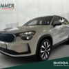 SKODA  Kodiaq Selection 2.0TDI DSG *RKAM*SHZ*NAVI*AHK*, Moon-Weiss Metallic