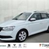 SKODA  Fabia Combi 1.0 TSI DSG *TEMPO *CLIMA *DAB *SHZ, Moon Weiss Metallic