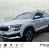 SKODA  Karoq 2.0 TDI DSG 4x4 TOUR *R-Kam*AHK *LED *TEMP, Moon-Weiß Perleffekt