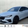 SKODA  Scala TOUR 1.0 TSI DSG*ACC*PDC*SHZ*TEMPO*AHK*NAV, Moon-Weiss Metallic