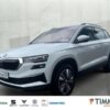 SKODA  Karoq 2.0 TDI DSG 4x4 TOUR *AHK *LED *TEMPO *VIR, Moon-Weiß Perleffekt