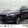 SKODA  Karoq 2.0 TDI DSG 4x4 STYLE +AHK +LED +RKAM +VIR, Black-Magic Perleffekt