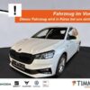 SKODA  Fabia 1.0 MONTE CARLO +LED +LM +TEMPO +SMART +SH, Moon-Weiß Perleffekt