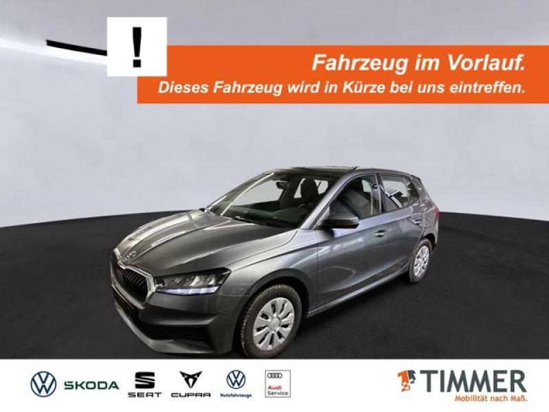 SKODA  Fabia 1.0 +LED +APP-CONN +SHZ +DAB +ALLWETTER +, Graphite Grau Metallic