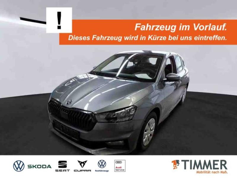 SKODA  Fabia 1.0 TSI ACTIVE +LED +SHZ +DAB +PDC +APP-CO, Graphite Grau Metallic