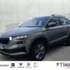 SKODA  Karoq 2.0 TDI DSG +AHK +LED +RKAM +VIRTUAL +NAVI, Stahl-Grau