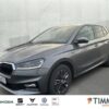 SKODA  Fabia 1,0 TSI DSG Tour AHK*ASIST*INFOT*WINTER, Graphite-Grau Metallic