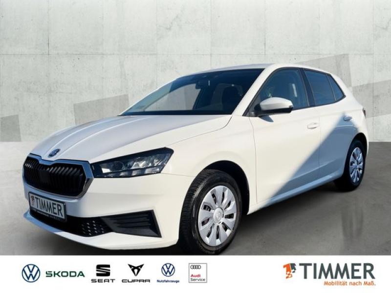 SKODA  Fabia Active 1.0 MPI*PDC*LED*DAB*SPURH*, Candy-Weiß