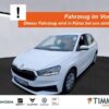 SKODA  Fabia 1.0 ACTIVE +LED +PDC +DAB +KLIMA +, Candy Weiß