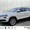 SKODA  Karoq 2.0 TDI DSG CLEVER +LED +RKAM +VIRTUAL +NA, Moon Weiß Perleffekt