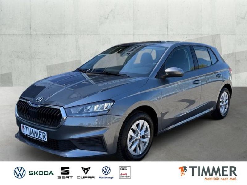 SKODA  Fabia 1.0 TSI ACTIVE +LED +CARPLAY +SHZ +ALU +DA, Graphite Grau Metallic