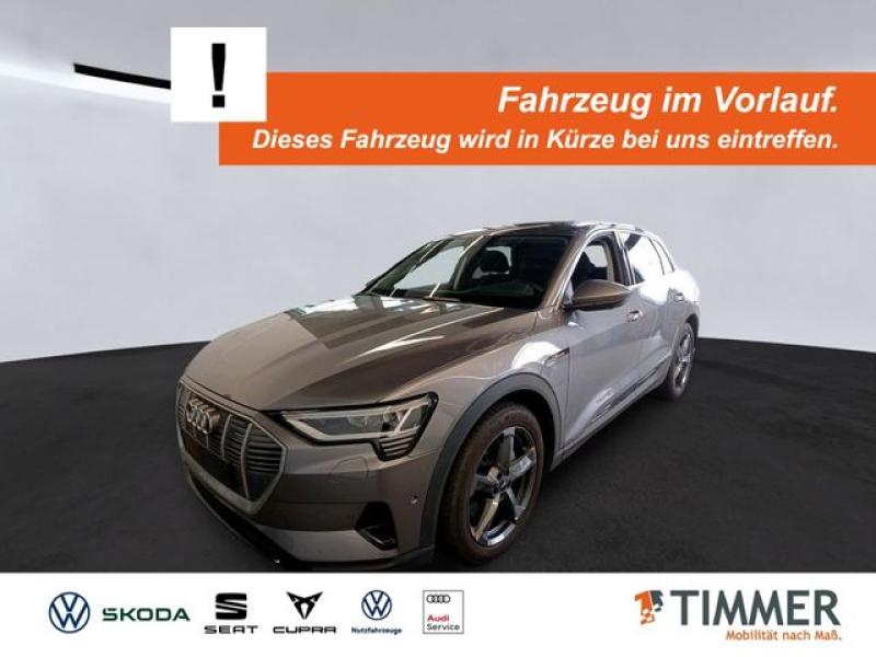 AUDI  e-tron 55 QUATTRO 95 kWh +AHK +360" +B&O +LED +A, Taifungrau Metallic