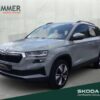 SKODA  Karoq 1.5 TSI DSG +AHK +LED +VIRTUAL +CARPLAY +S, Stahl Grau