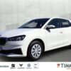 SKODA  Fabia 1.0 ACTIVE +LED +DAB SHZ +KLIMA +PDC +, Candy Weiß