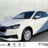 SKODA  Fabia Active 1.0 MPI*PDC*LED*DAB*SPURH*, Candy-Weiß