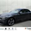 BMW  420i Cabriolet Sport Line *LEDER*NAVI*XENON*AHK*, grau