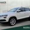 SKODA  Karoq 2.0 TDI DSG CLEVER +LED +RKAM +VIRTUAL +NA, Moon Weiß Perleffekt