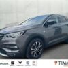 OPEL  Grandland X 1.2 Turbo 120 Jahre LED+SHZ+RFK+GJR+, Mondstein Grau