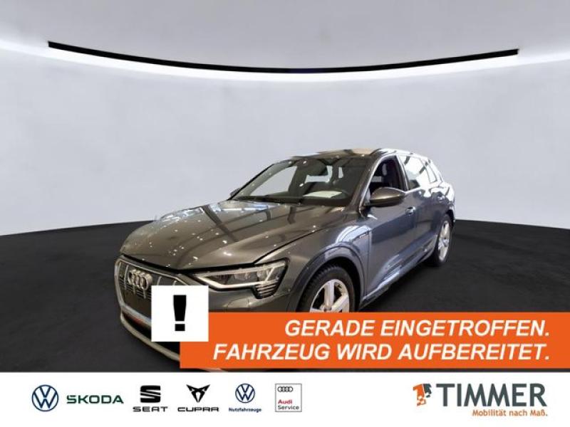 AUDI  e-tron 55 QUATTRO S-LINE 95 kWh +AHK +LED +RKAM, Daytonagrau Perleffekt