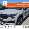 SKODA  Kodiaq 2.0 TDI DSG 4x4 SPORTLINE +AHK +MATRIX +A, Stahl Grau