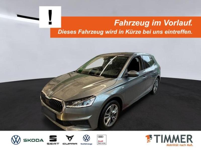 SKODA  Fabia 1.0 TOUR +LED +VIRTUAL +CARPLAY +SHZ +ALU, Graphite Grau Metallic