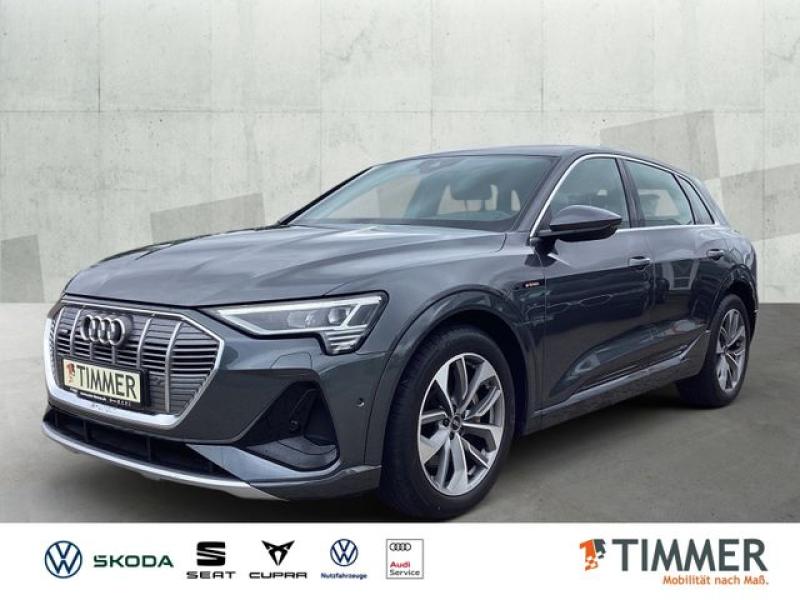 AUDI  e-tron 55 QUATTRO S-LINE 95 kWh +AHK +LED +RKAM, Daytonagrau Perleffekt