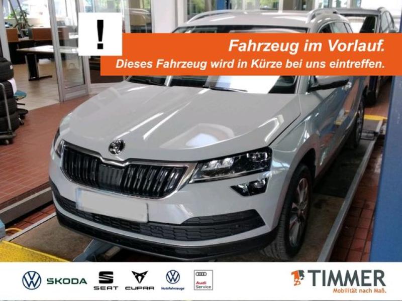 SKODA  Karoq 2.0 TDI DSG CLEVER +AHK +LED +ACC +RKAM +N, Stahl Grau